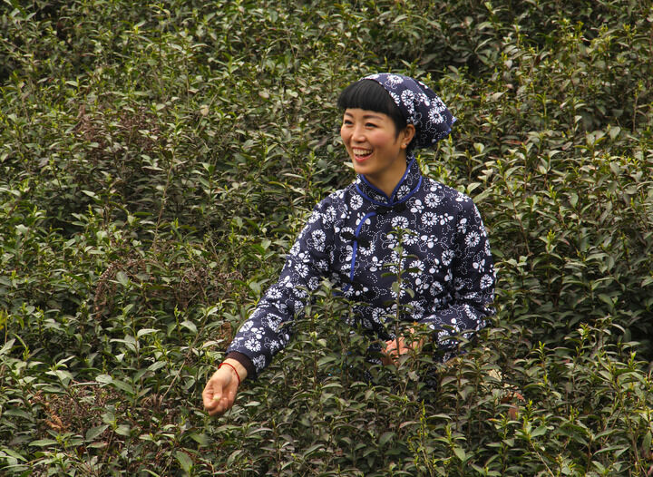 96间房主跳舞 午夜访谈